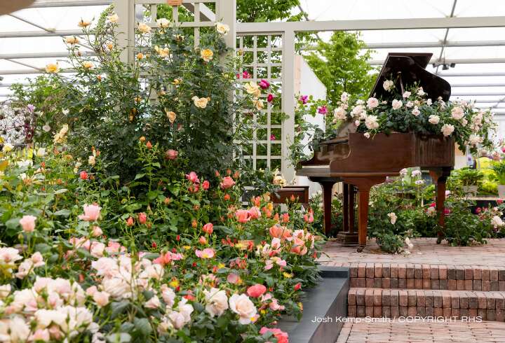 Chelsea Flower Show asetelmia ja piano – copyright RHS. 